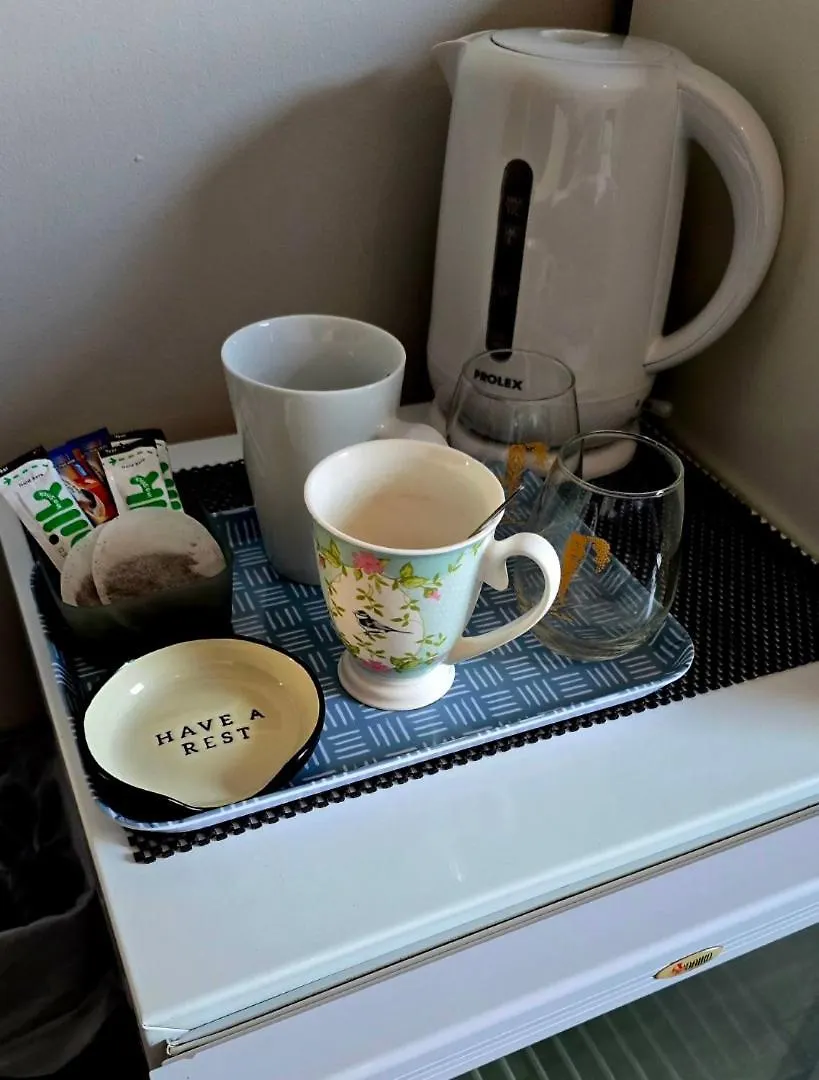 2 Spacious Rooms In The Heart Of The Marina Swansea Homestay
